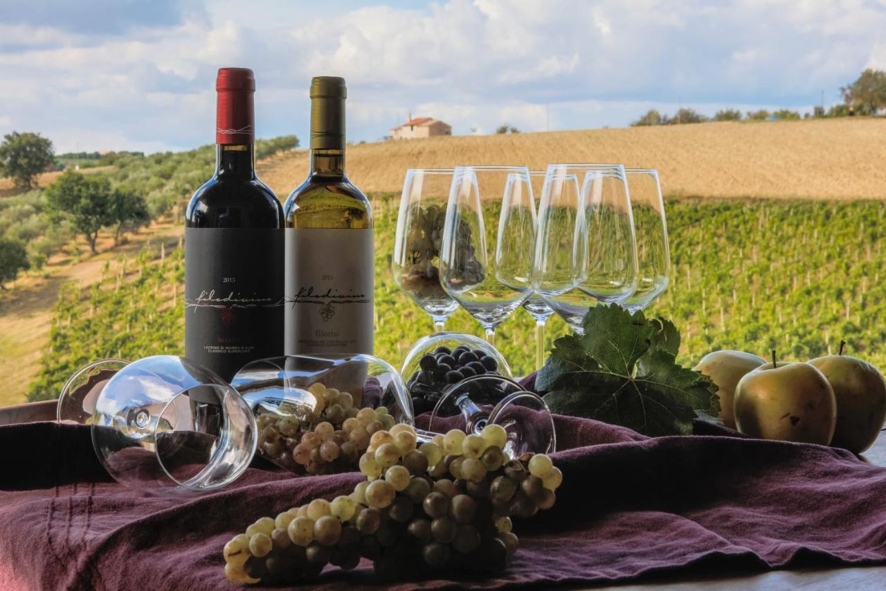 Filodivino Wine Resort & Spa San Marcello  Dış mekan fotoğraf