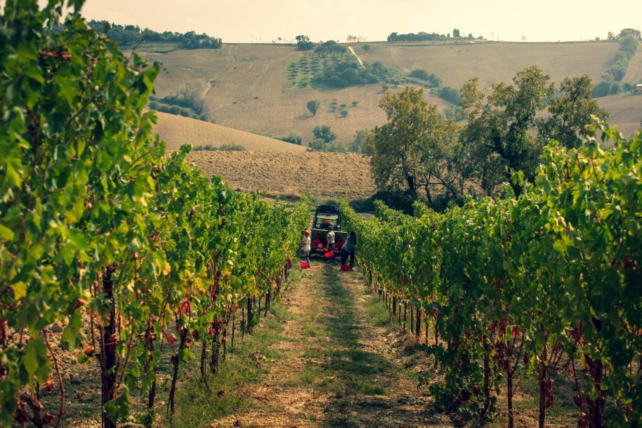 Filodivino Wine Resort & Spa San Marcello  Dış mekan fotoğraf