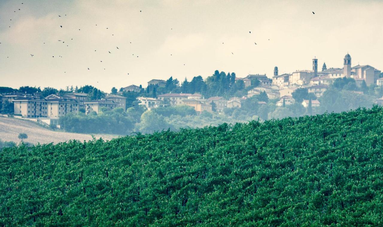 Filodivino Wine Resort & Spa San Marcello  Dış mekan fotoğraf